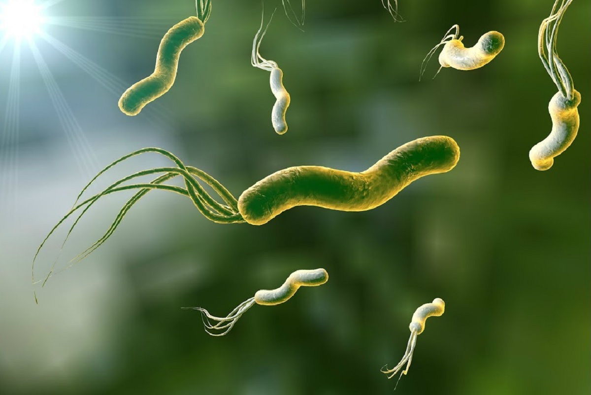 Чем опасен Helicobacter pylori?